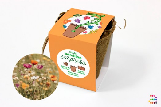 Maceta sorpresa_FLORES_ESP